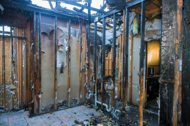 Professional Smoke Damage Removal technician working in Brentwood, MD